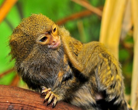 2410047_152894_b852cb9aa6_p