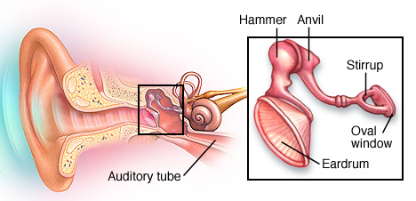 Screen Shot 2018-03-27 at 13.24.48