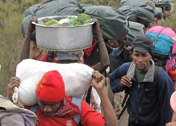 6575 Robbison &amp; Vegetable