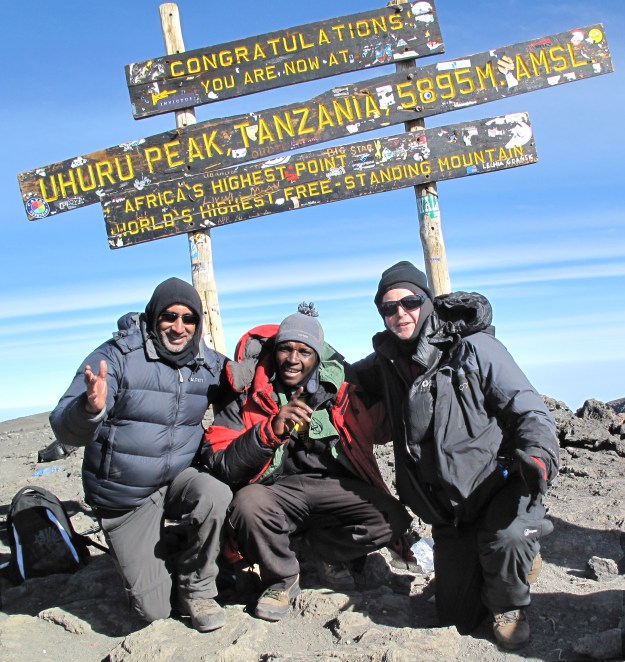 6862 Avind Amaeli &amp; Me Crop