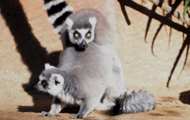 Screenshot 2019-08-06 at 14.37.50