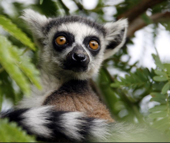 Screenshot 2019-08-06 at 14.44.51