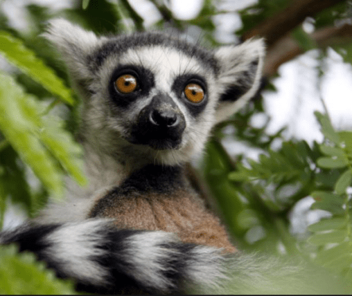 Screenshot 2019-08-06 at 14.44.51