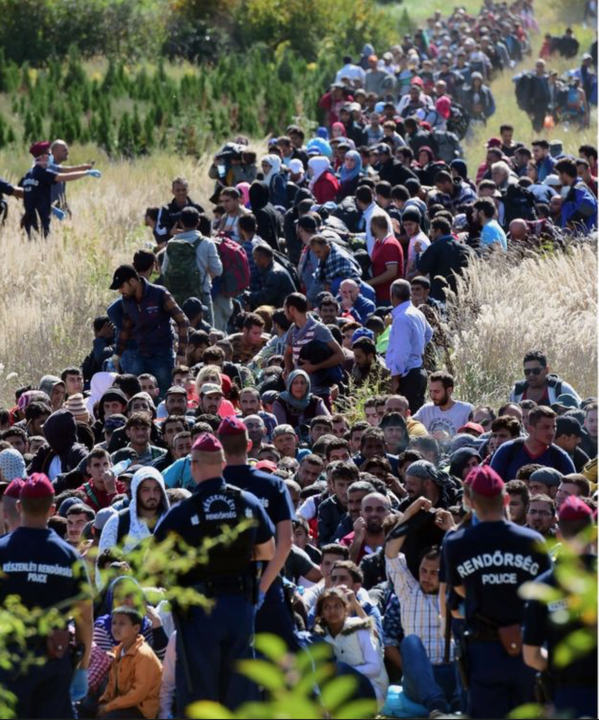 Screenshot 2019-08-31 at 15.43.26